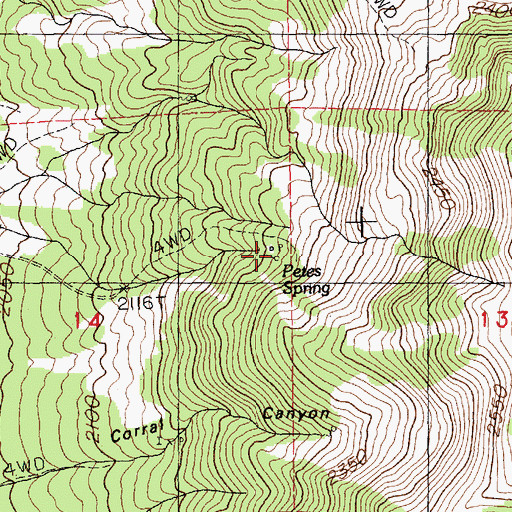 Topographic Map of Petes Spring, NV