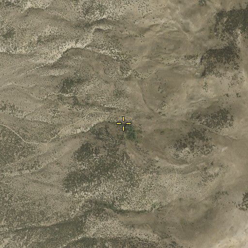Aerial/Satellite Image of Petes Spring, NV