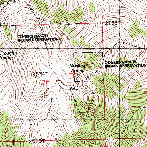 Topographic Map of Mustang Spring, NV