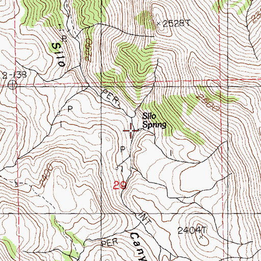 Topographic Map of Silo Spring, NV