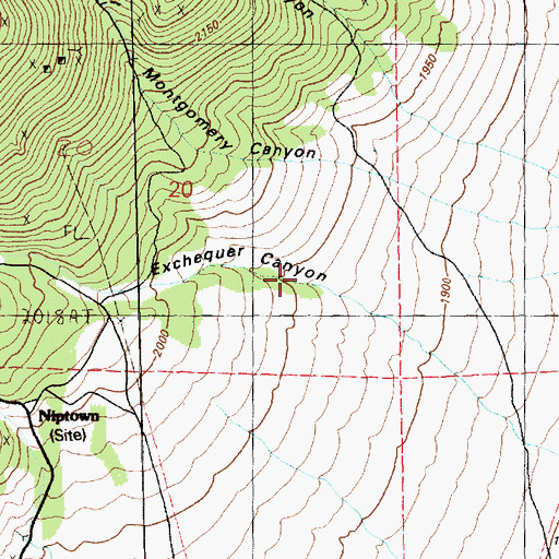 Topographic Map of Exchequer Canyon, NV
