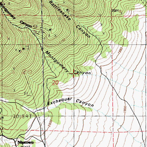 Topographic Map of Montgomery Canyon, NV