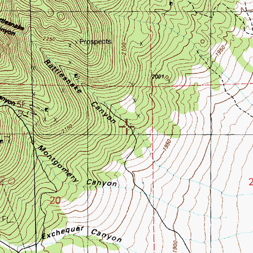 Topographic Map of Rattlesnake Canyon, NV