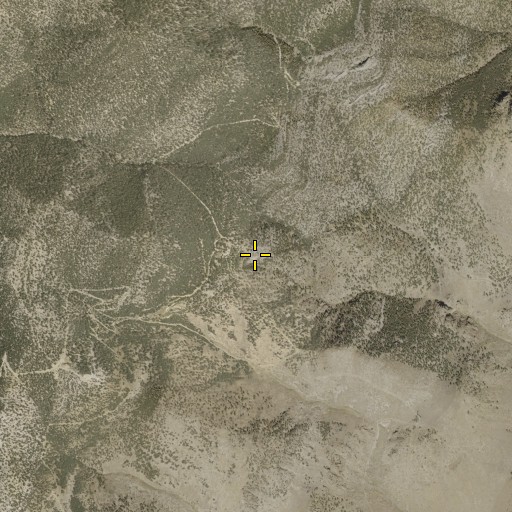 Aerial/Satellite Image of Old Timer Mine, NV