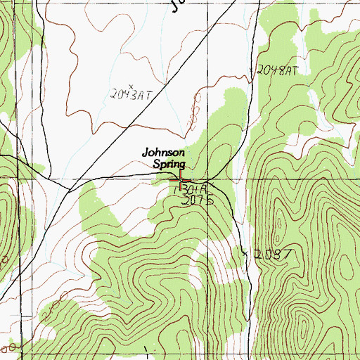 Topographic Map of Johnson Spring, NV