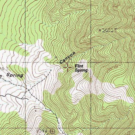 Topographic Map of Flint Spring, NV