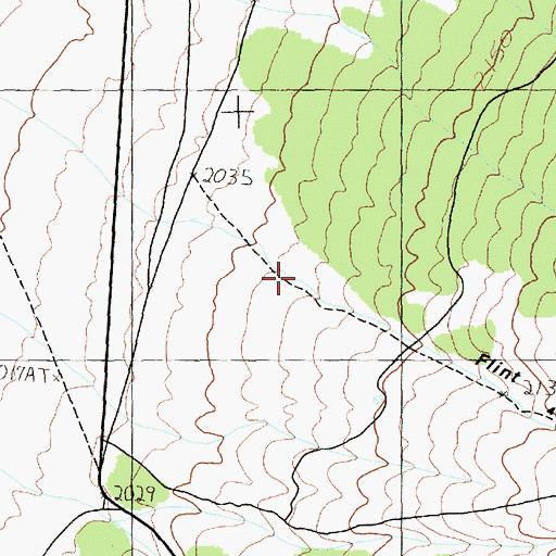 Topographic Map of Flint Spring Canyon, NV
