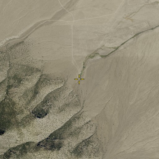 Aerial/Satellite Image of Borchert Spring, NV