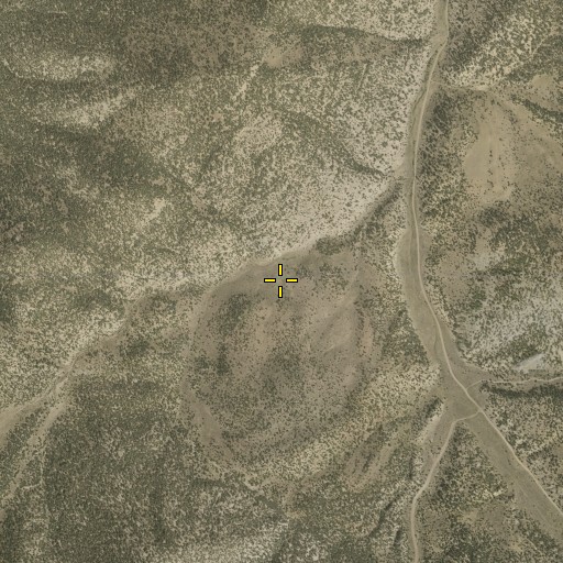 Aerial/Satellite Image of Mustang Spring, NV