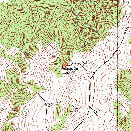 Topographic Map of Westside Spring, NV