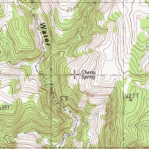 Topographic Map of Cherry Spring, NV