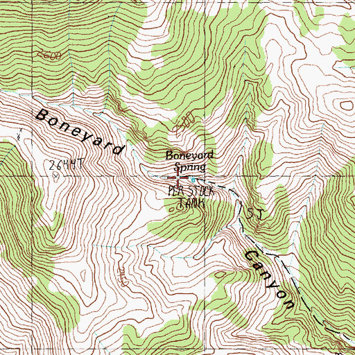 Topographic Map of Boneyard Spring, NV