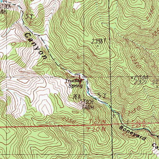 Topographic Map of Truckee Spring, NV