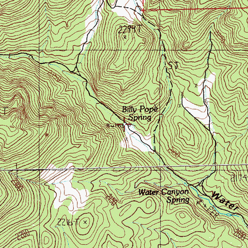 Topographic Map of Billy Pope Spring, NV