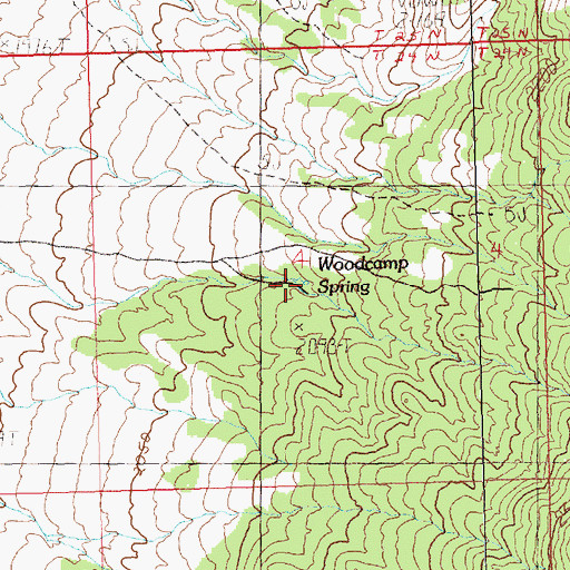Topographic Map of Woodcamp Spring, NV