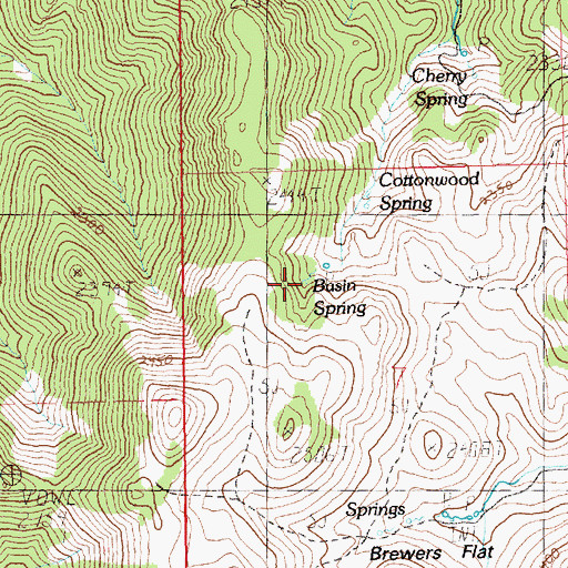 Topographic Map of Basin Spring, NV