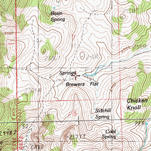 Topographic Map of Brewers Flat, NV