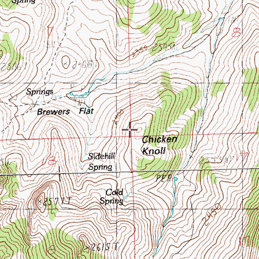 Topographic Map of Chicken Knoll, NV