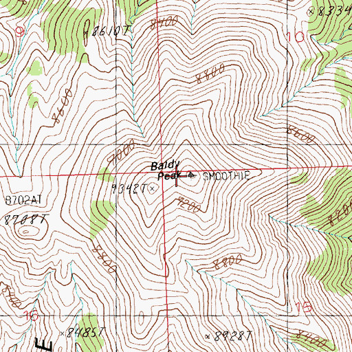 Topographic Map of Baldy Peak, NV