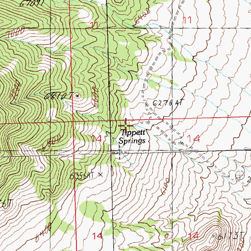 Topographic Map of Tippett Springs, NV