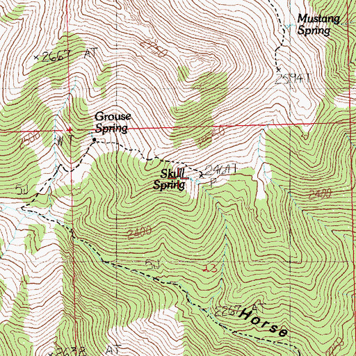 Topographic Map of Skull Spring, NV