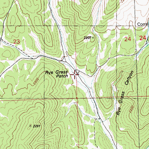 Topographic Map of Rye Grass Patch, NV