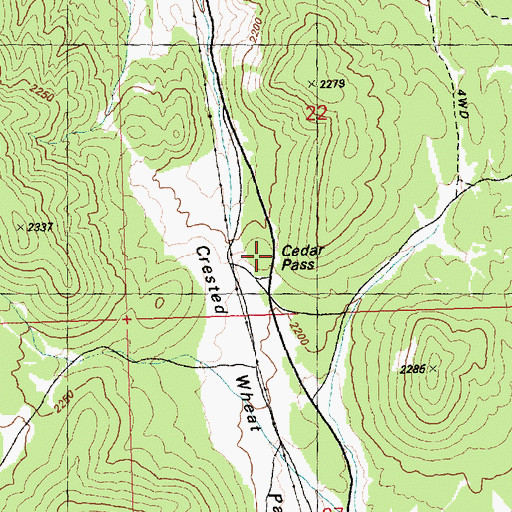 Topographic Map of Cedar Pass, NV