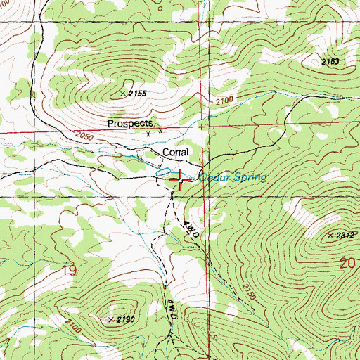 Topographic Map of Cedar Spring, NV