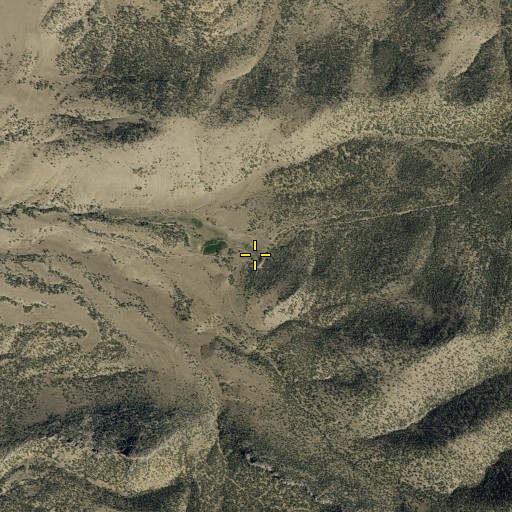 Aerial/Satellite Image of Cedar Spring, NV