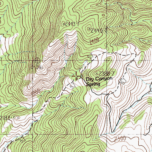 Topographic Map of Dry Canyon Spring, NV
