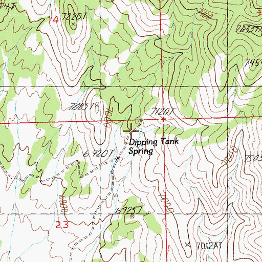 Topographic Map of Dipping Tank Spring, NV