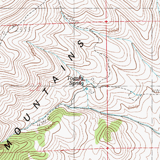 Topographic Map of Tognini Spring, NV