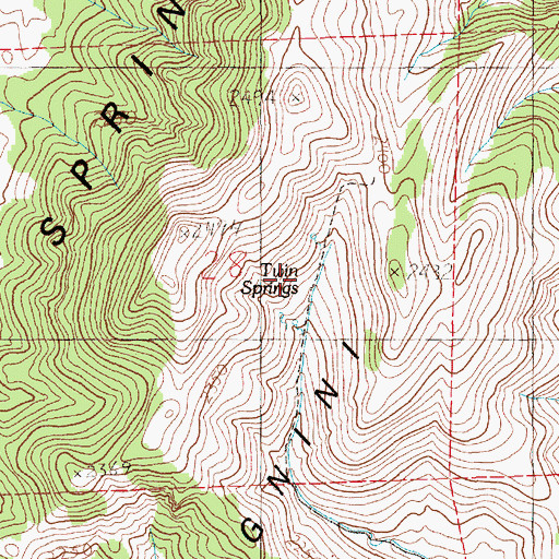 Topographic Map of Twin Springs, NV