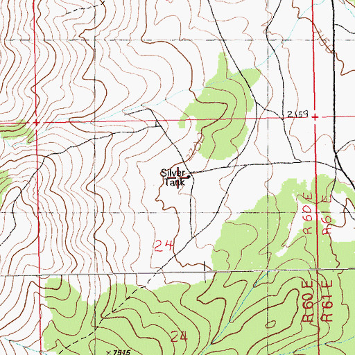 Topographic Map of Silver Tank, NV