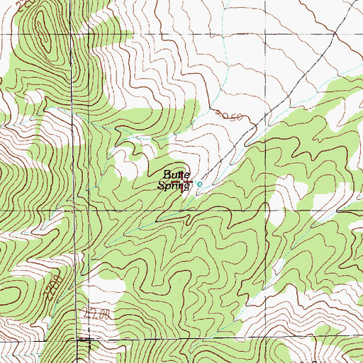 Topographic Map of Butte Spring, NV