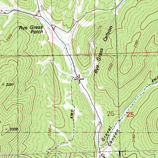 Topographic Map of Rye Grass Canyon, NV