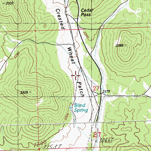Topographic Map of Crested Wheat Patch, NV