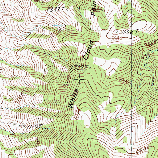 Topographic Map of White Cloud Point, NV