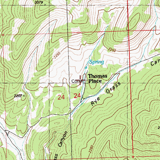 Topographic Map of Thomas Place, NV