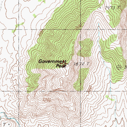 Topographic Map of Government Peak, NV