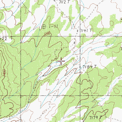 Topographic Map of Cave Canyon, NV