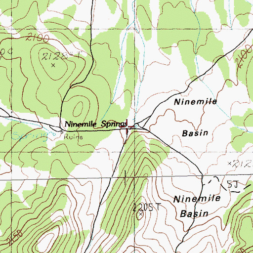 Topographic Map of Ninemile Springs, NV