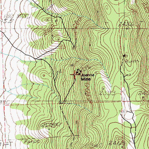 Topographic Map of Joanna Mine, NV