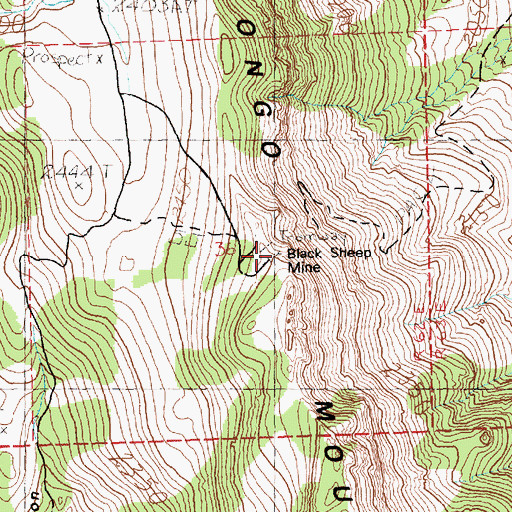 Topographic Map of Black Sheep Mine, NV