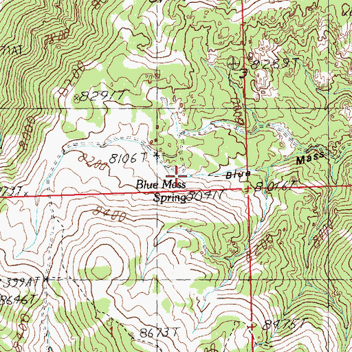 Topographic Map of Blue Mass Spring, NV