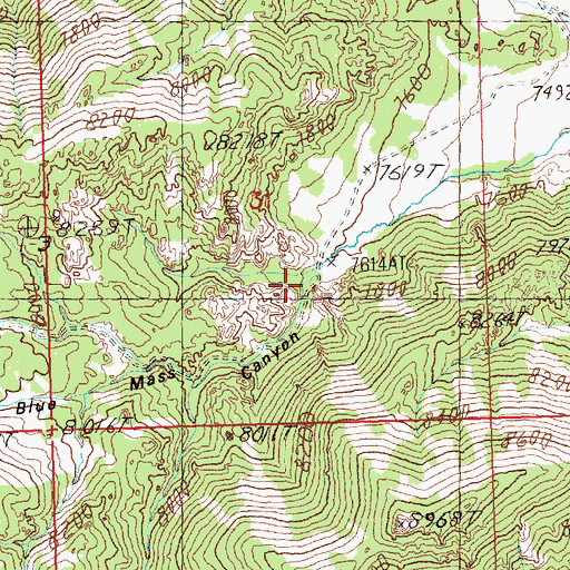 Topographic Map of Blue Mass Canyon, NV