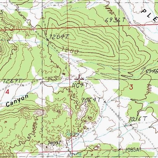 Topographic Map of Ferrys Canyon, NV