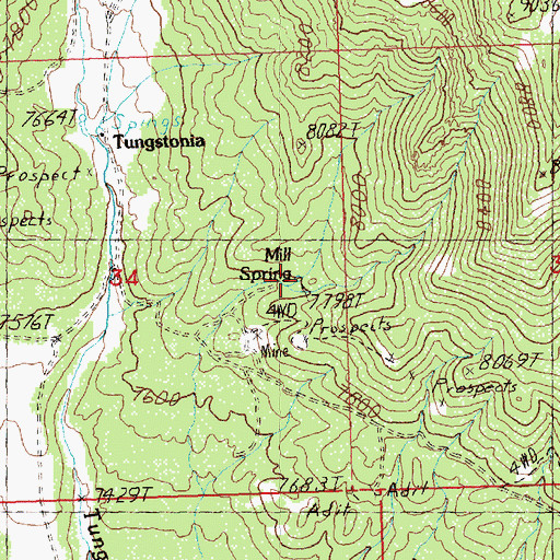 Topographic Map of Mill Spring, NV
