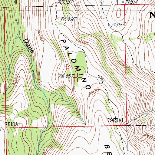 Topographic Map of Palomino Bench, NV