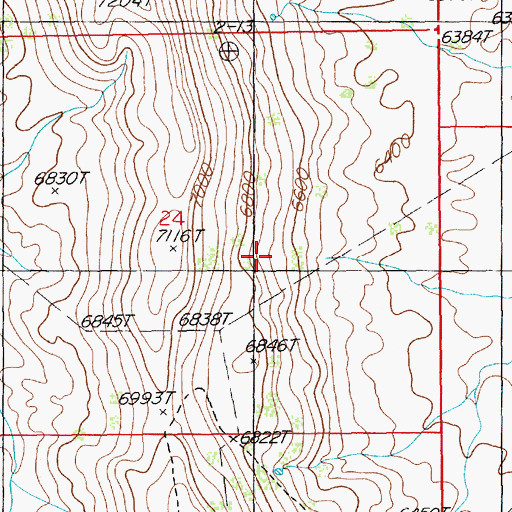 Topographic Map of Borges Spring, NV